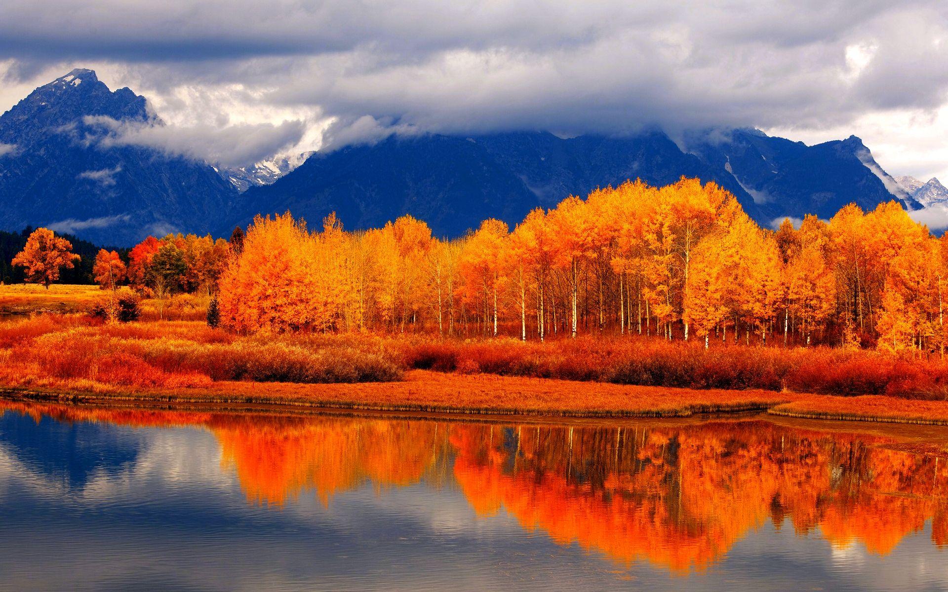 Lake, autumn trees, snowy mountains